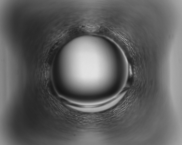 X0000096981349200802081359