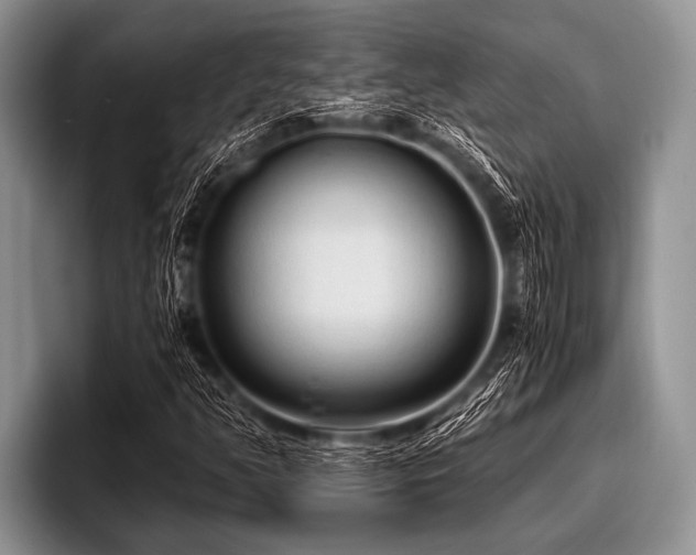 X0000096981350200802081359