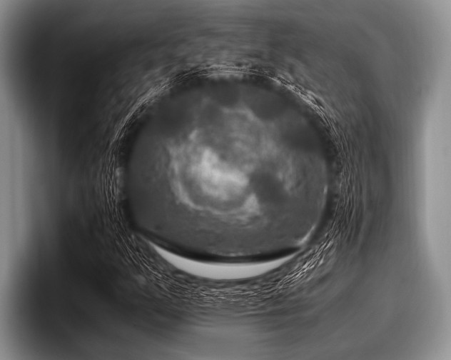 X0000096981351200802081359