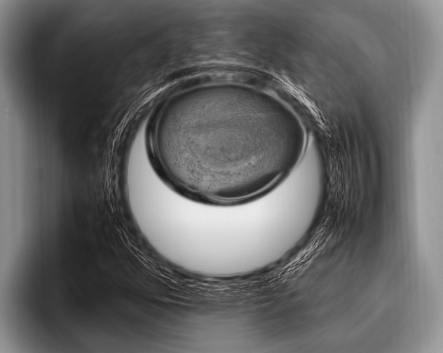 X0000096981352200802081359