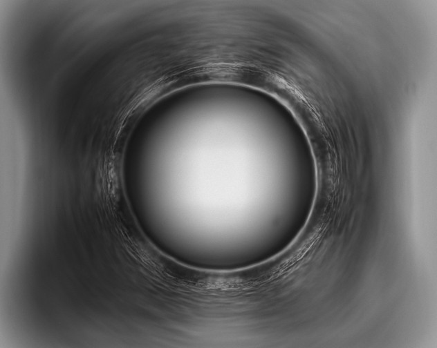 X0000096981354200802081359