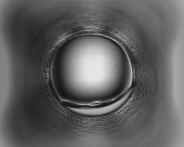 X0000096981355200802081359