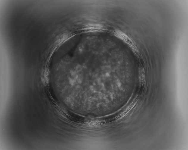 X0000096981357200802081359