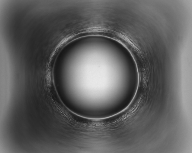 X0000096981358200802081359