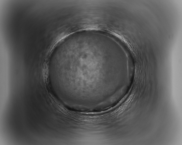 X0000096981359200802081359