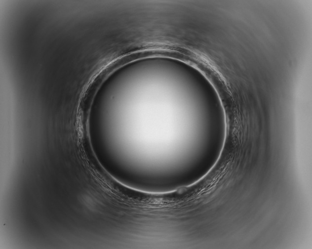 X0000096981360200802081359