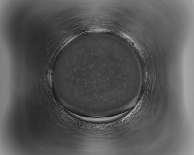 X0000096981361200802081359