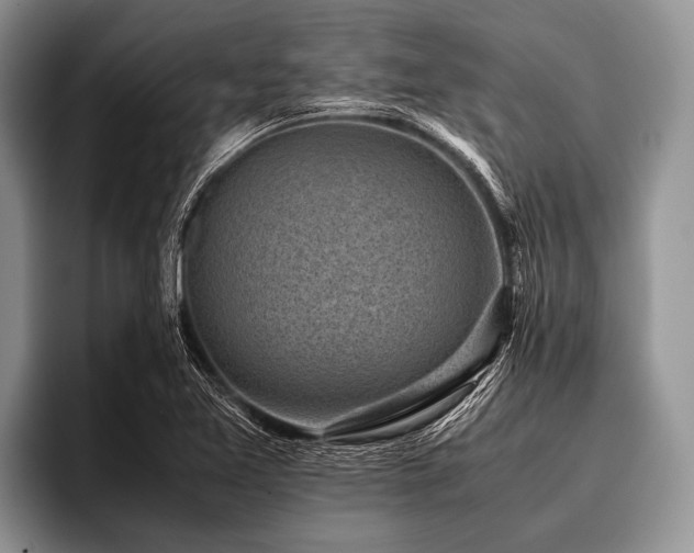 X0000096981365200802081359