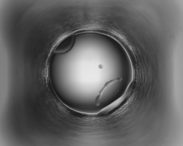 X0000096981366200802081359