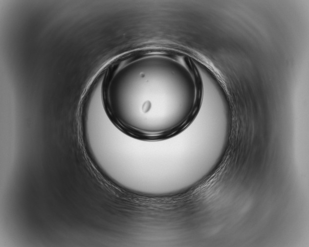 X0000096981368200802081359