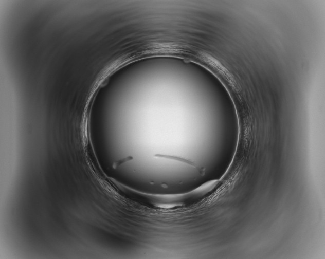 X0000096981370200802081359