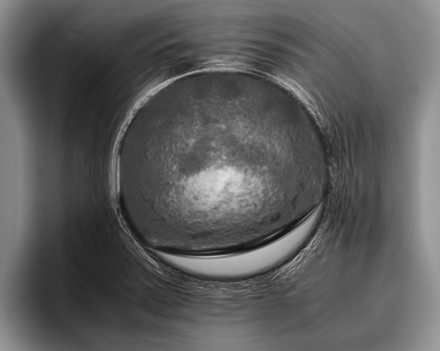 X0000096981371200802081359