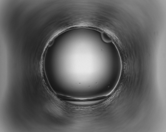 X0000096981374200802081359