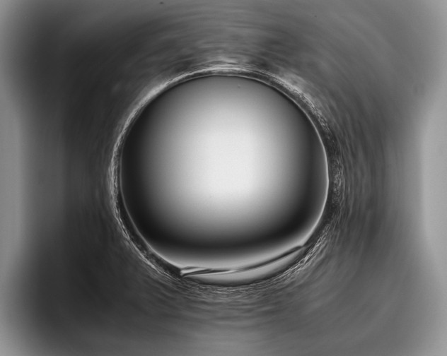 X0000096981375200802081359