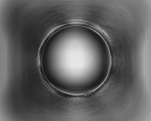 X0000096981376200802081359