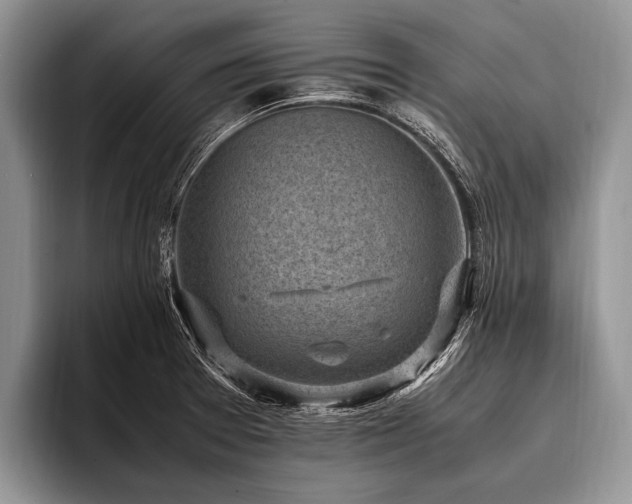 X0000096981377200802081359