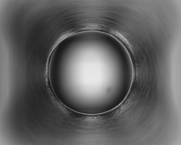 X0000096981378200802081359