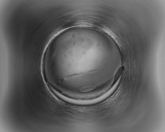 X0000096981379200802081359