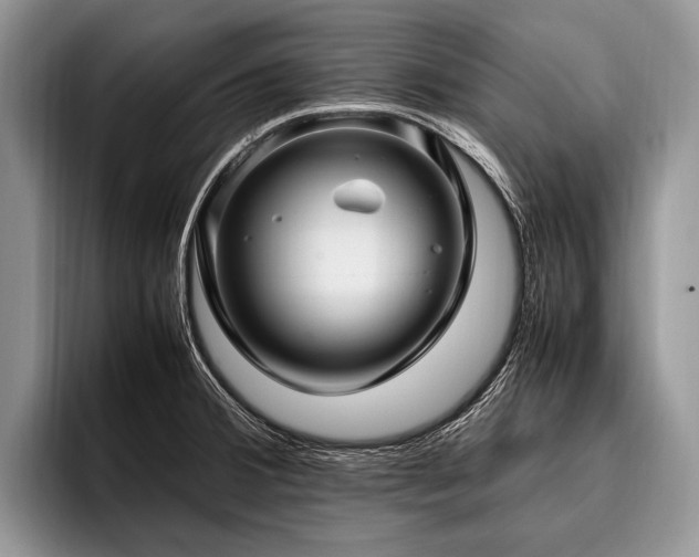 X0000096981380200802081359