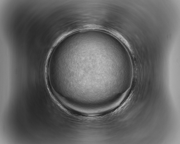 X0000096981381200802081359