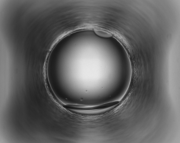 X0000096981382200802081359