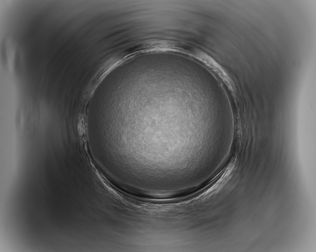 X0000096981385200802081359