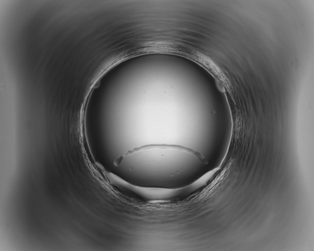 X0000096981386200802081359