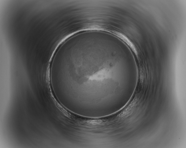 X0000096981388200802081359