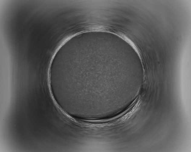 X0000096981389200802081359