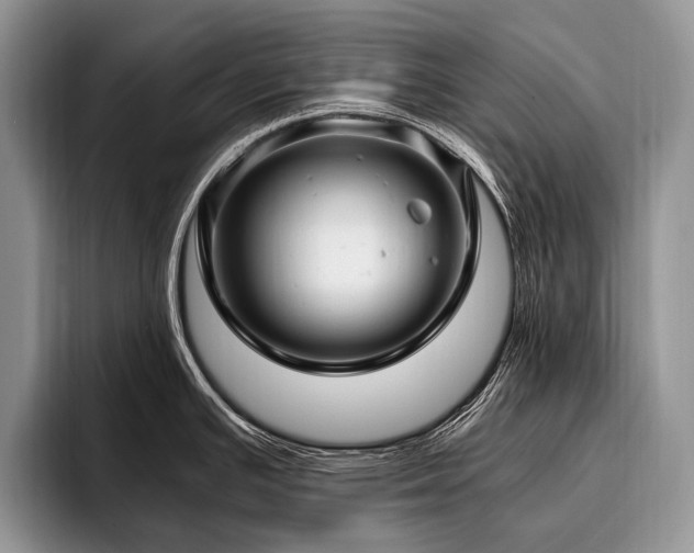 X0000096981391200802081358