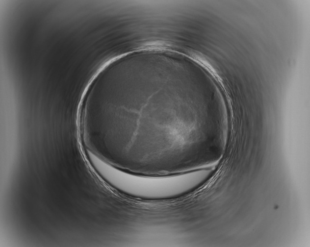 X0000096981392200802081358