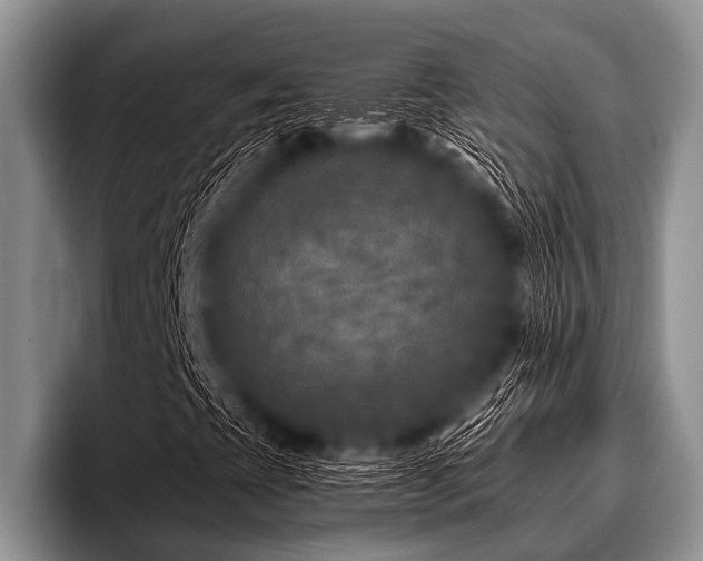 X0000096981393200802081358