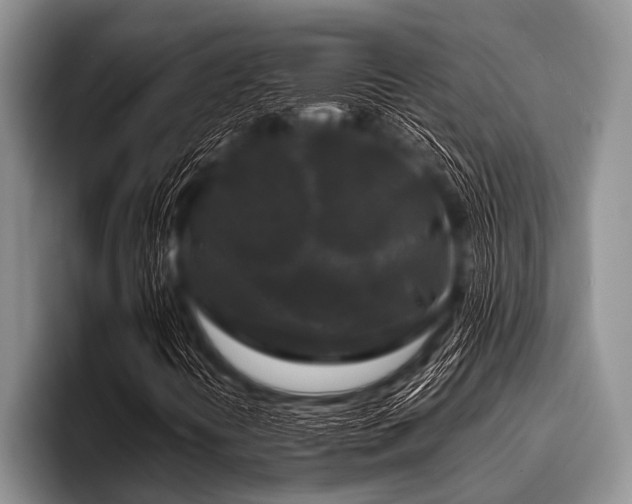 X0000096981394200802081358