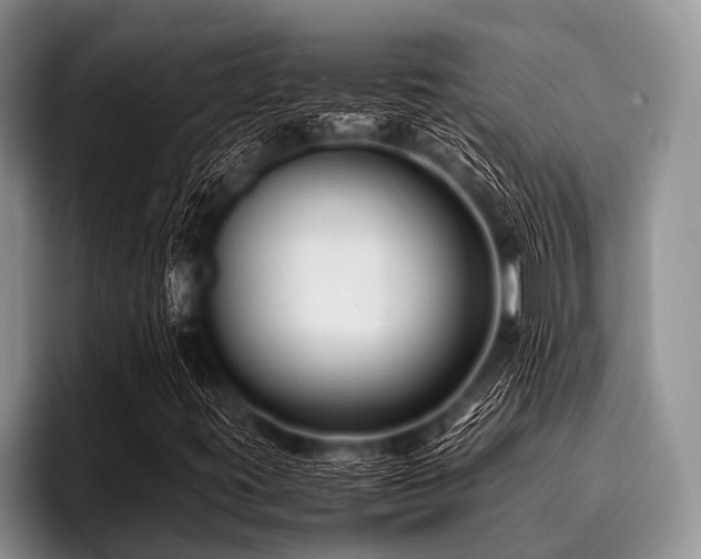 X0000096981395200802081358