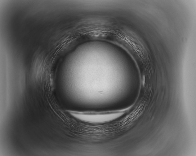 X0000096981396200802081358