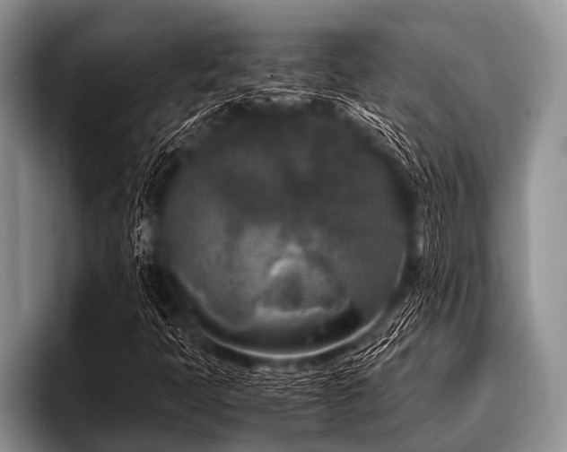 X0000096981397200802081358