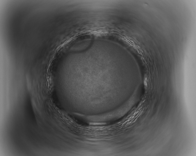 X0000096981398200802081358