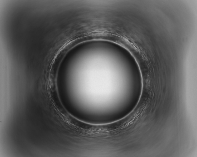 X0000096981400200802081358