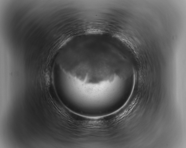 X0000096981401200802081358