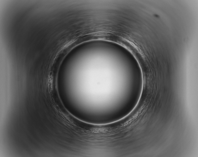 X0000096981402200802081358