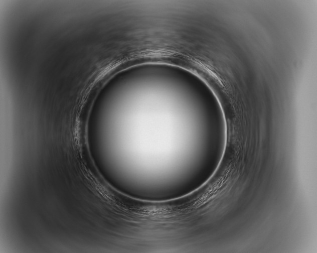 X0000096981404200802081358