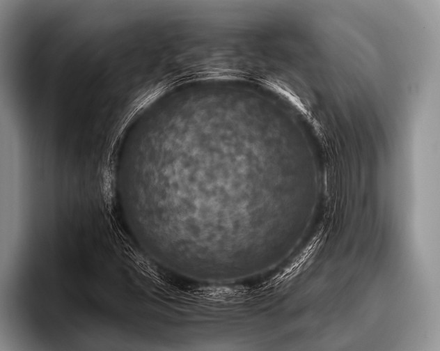 X0000096981405200802081358