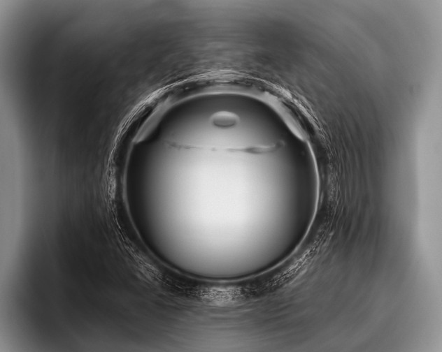 X0000096981406200802081358