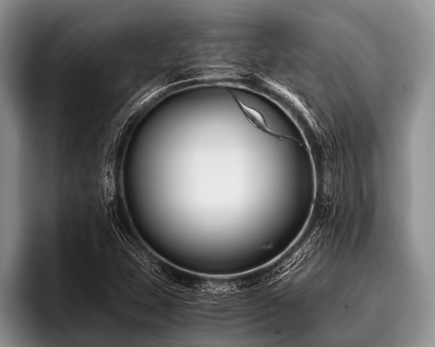 X0000096981407200802081358