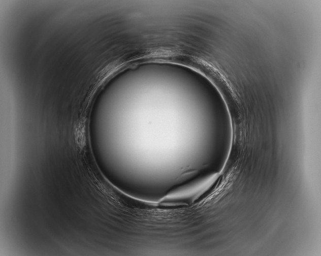 X0000096981409200802081358