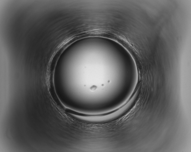 X0000096981410200802081358