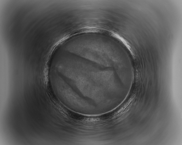 X0000096981411200802081358