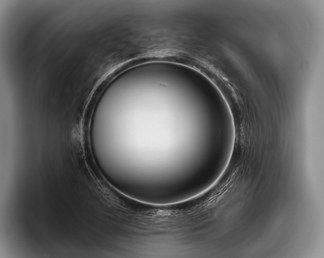 X0000096981412200802081358