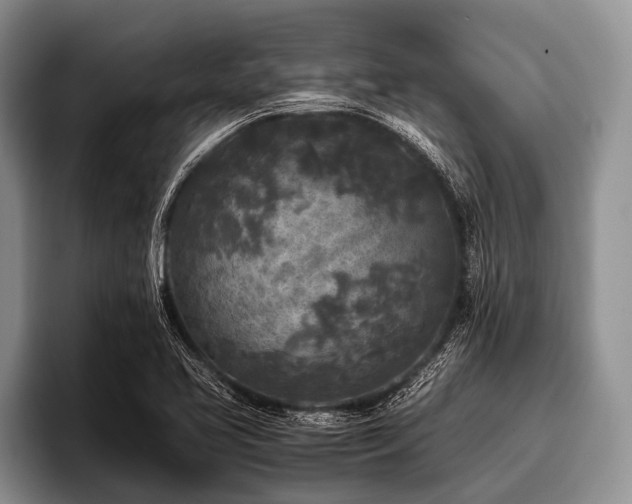 X0000096981413200802081358