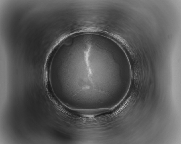 X0000096981414200802081358